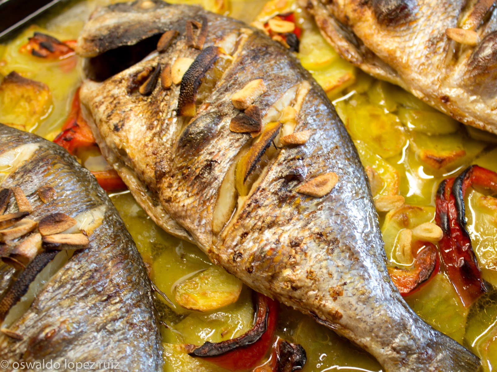 Dorada al Horno